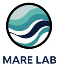 cropped marelab logo gemini png 1.png